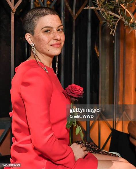 alia shawkat nide|2,894 Alia Shawkat Photos Stock Photos & High